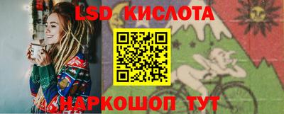 дживик Гай